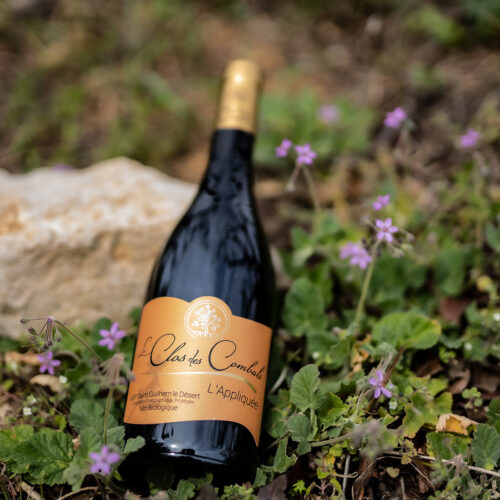 L'Appliquée rouge - 2024